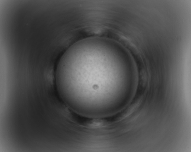 X0000093140612200710031411