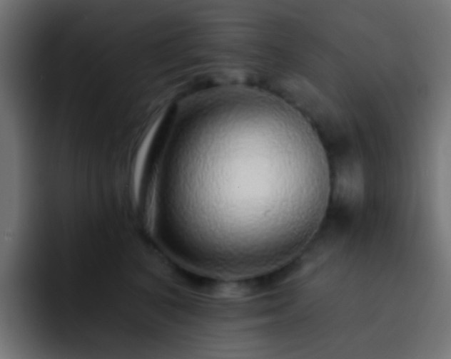 X0000093140616200710031411