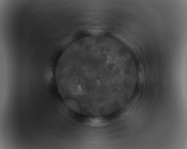 X0000093140618200710031411