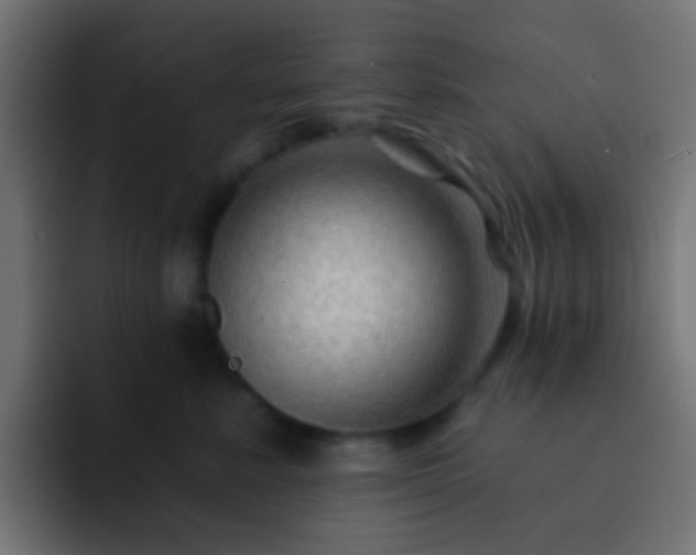 X0000093140619200710031411