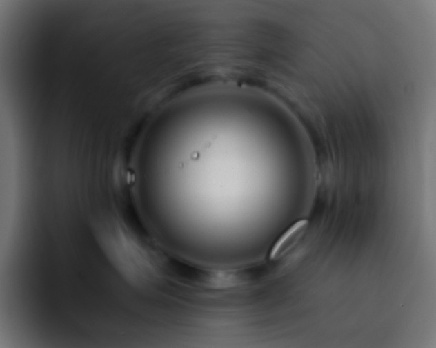 X0000093140623200710031411