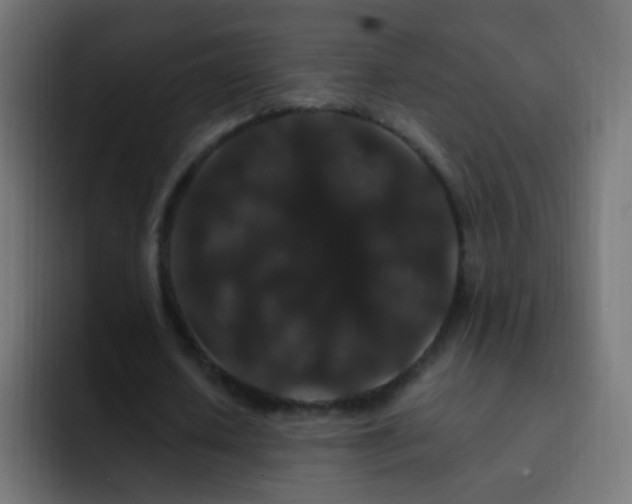 X0000093140626200710031410