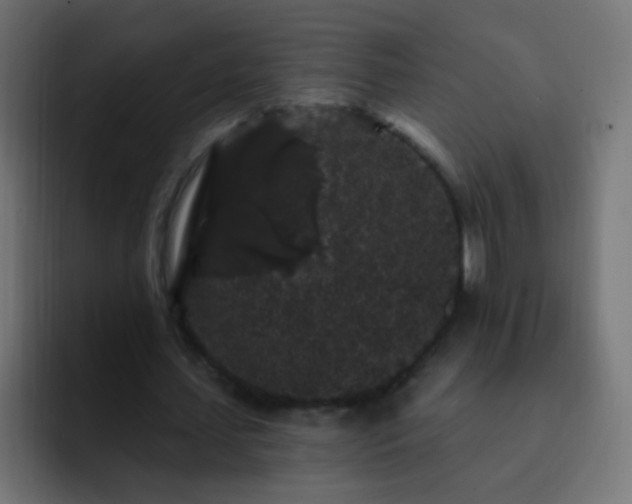 X0000093140627200710031410