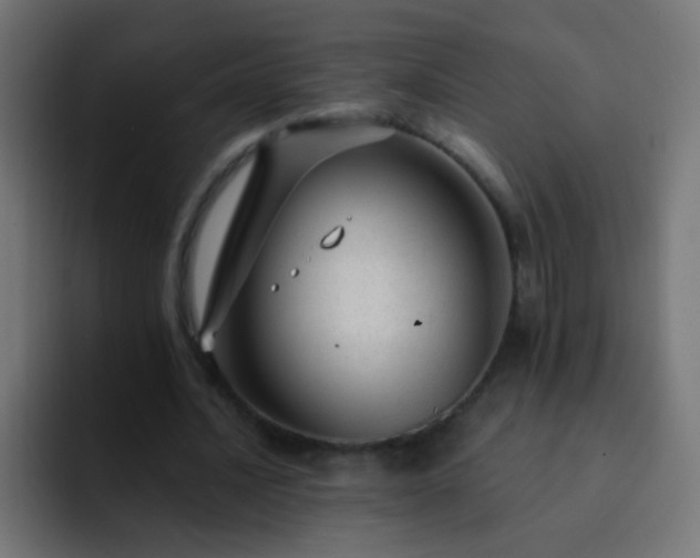 X0000093140628200710031410