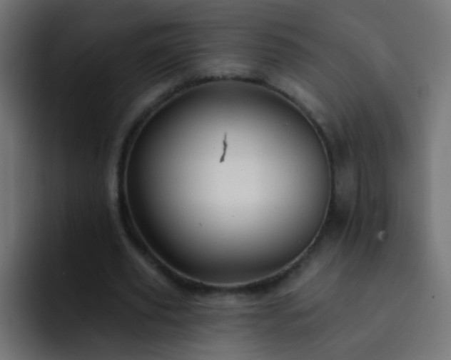X0000093140629200710031410
