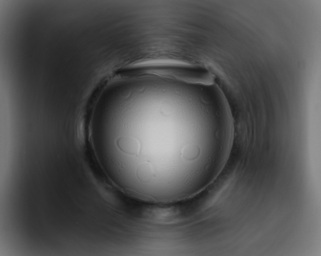 X0000093140638200710031410