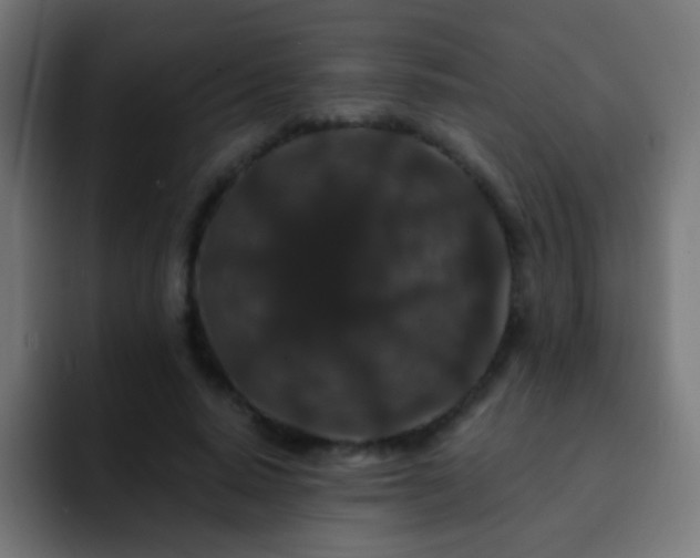 X0000093140640200710031410