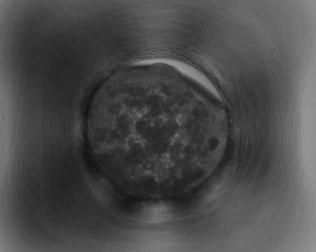 X0000093140643200710031410