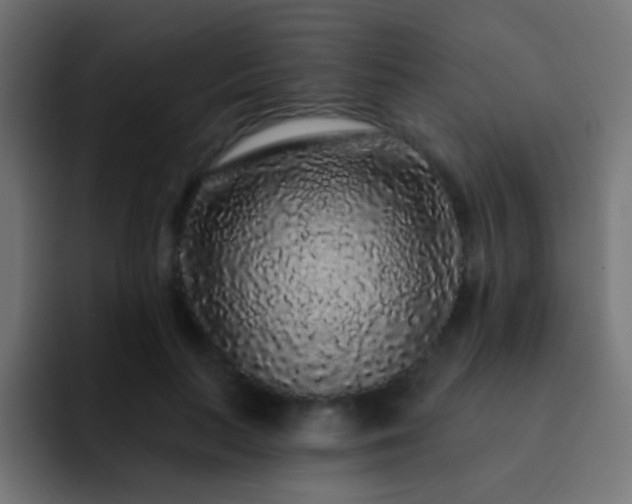 X0000093140647200710031411