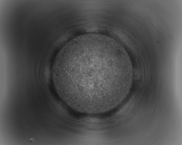 X0000093140648200710031411