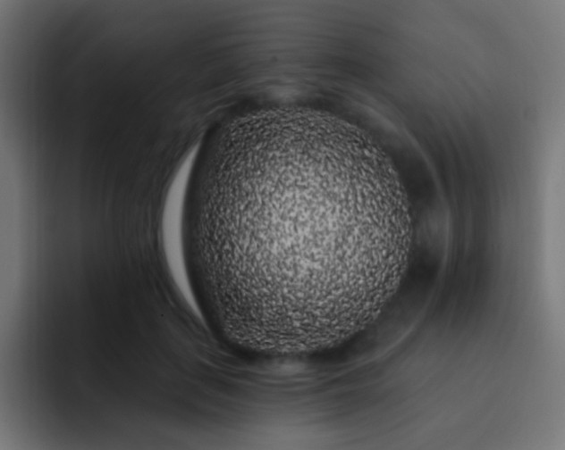 X0000093140651200710031411