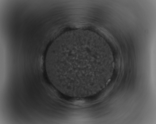 X0000093140653200710031411