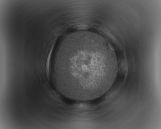 X0000093140655200710031411