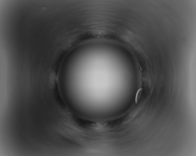 X0000093140660200710031411