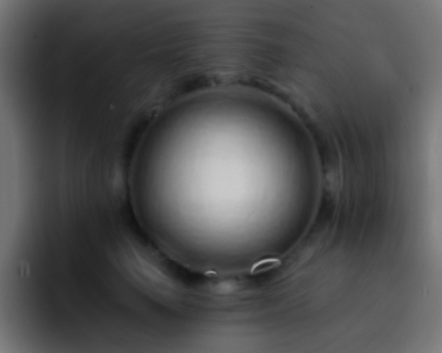 X0000093140662200710031411