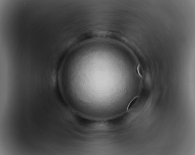 X0000093140668200710031411