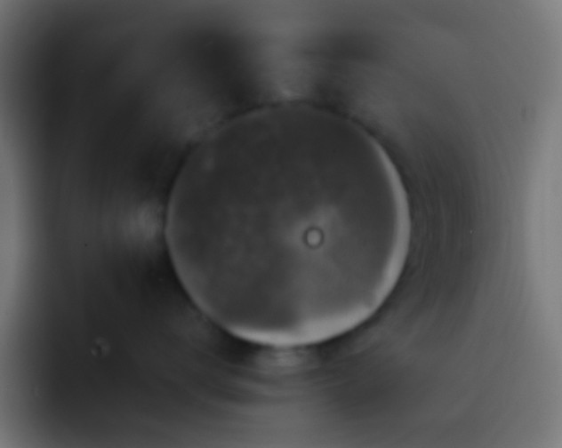 X0000093140672200710031411