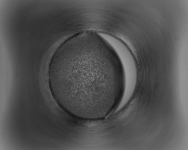 X0000093140673200710031410
