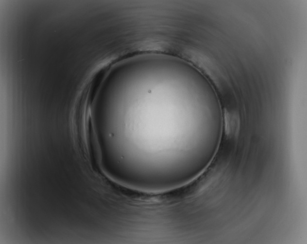 X0000093140675200710031410
