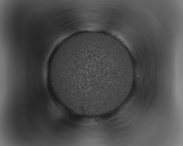 X0000093140679200710031410