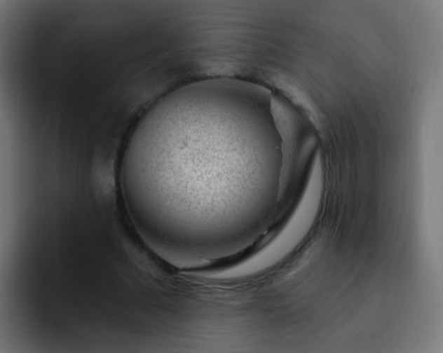 X0000093140681200710031410