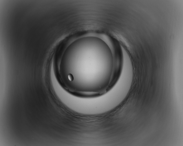 X0000093140684200710031410