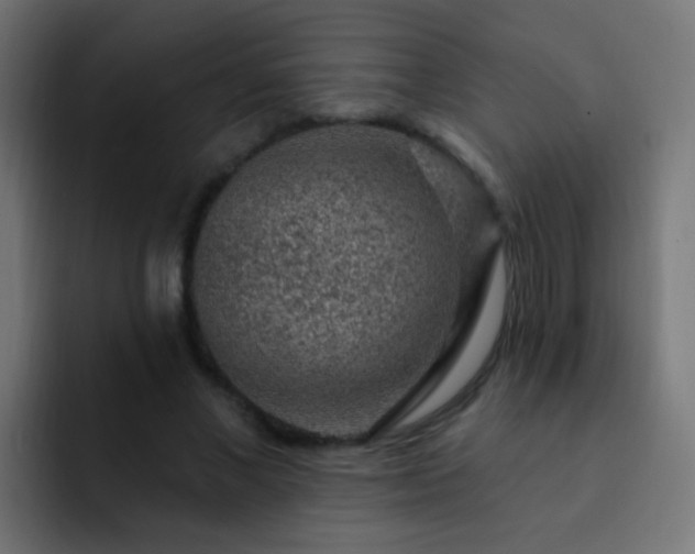 X0000093140685200710031410