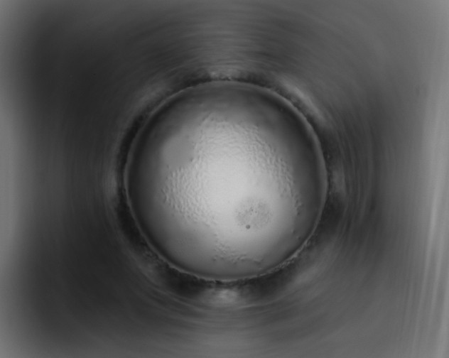 X0000093140687200710031410