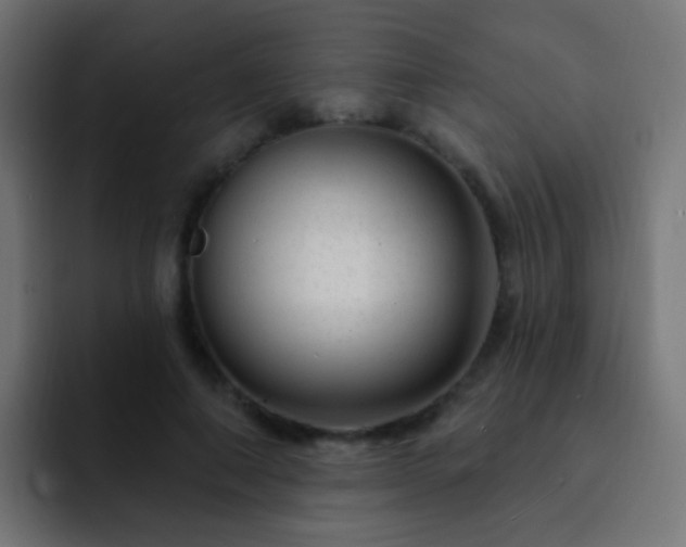 X0000093140690200710031410