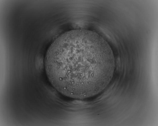 X0000093140699200710031410