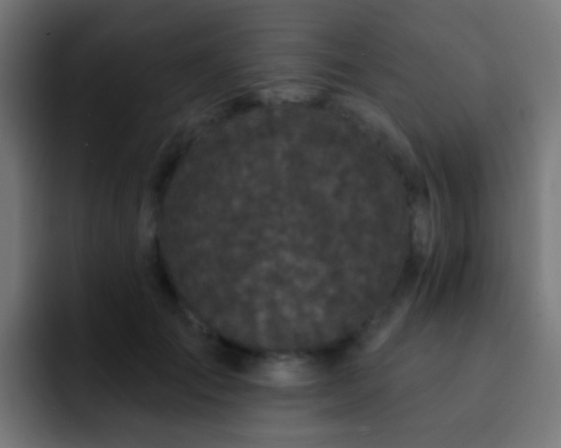 X0000093140701200710031410