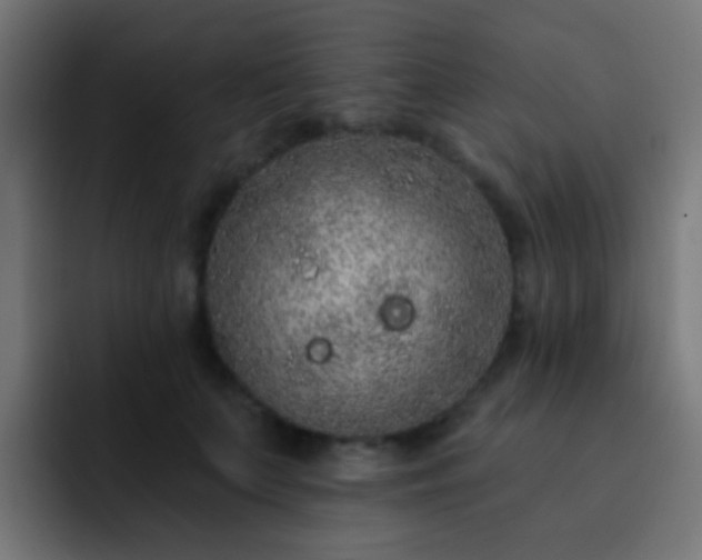X0000093140703200710031410