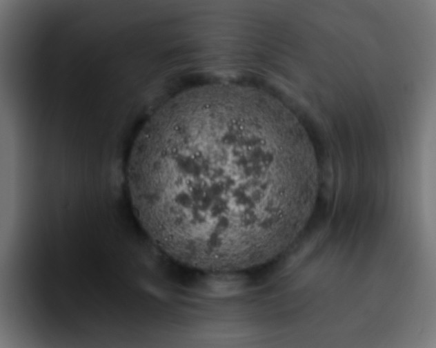 X0000093140707200710031410