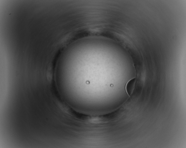X0000093140710200710031410