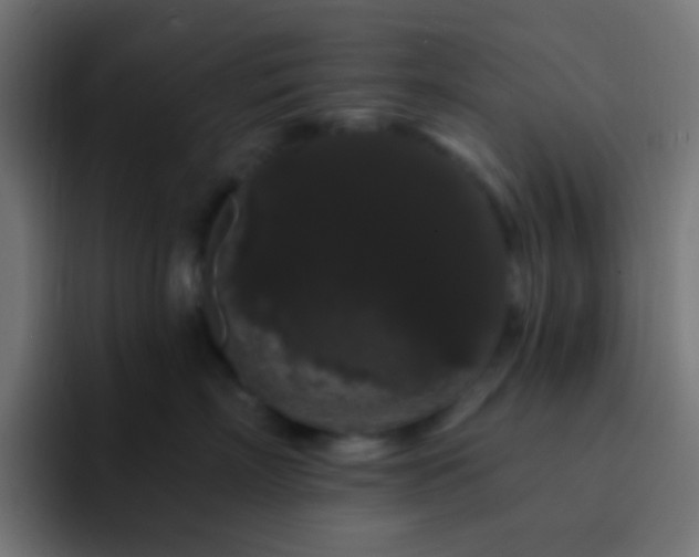 X0000093140718200710031410