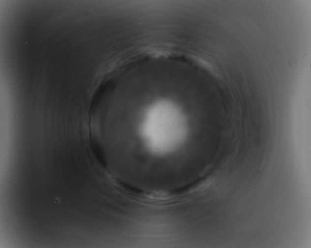 X0000093140720200710031410