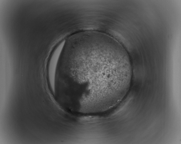 X0000093140721200710031409