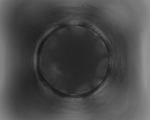X0000093140722200710031409