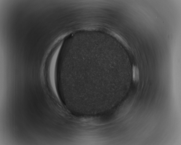 X0000093140723200710031409