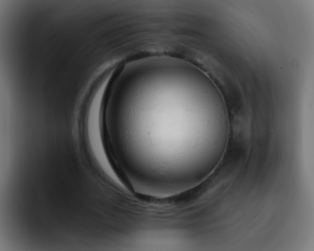 X0000093140727200710031409