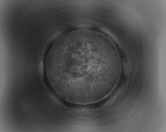 X0000093140729200710031409