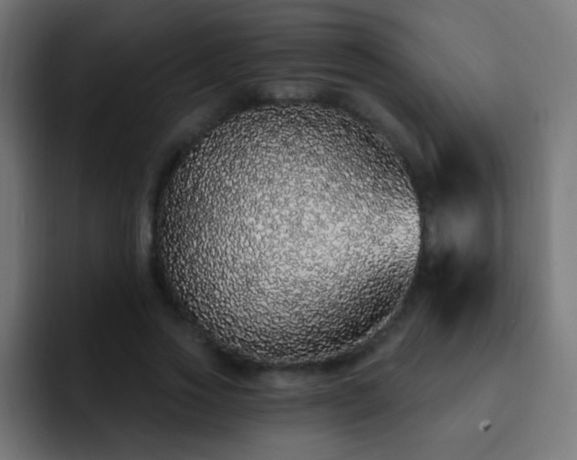 X0000093140733200710031409