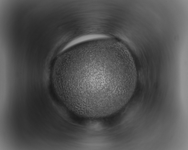 X0000093140735200710031409