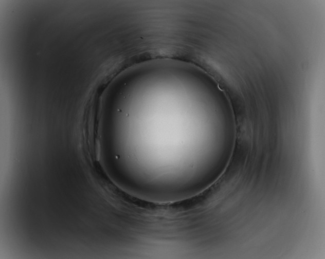 X0000093140738200710031409