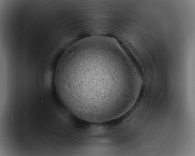 X0000093140742200710031409