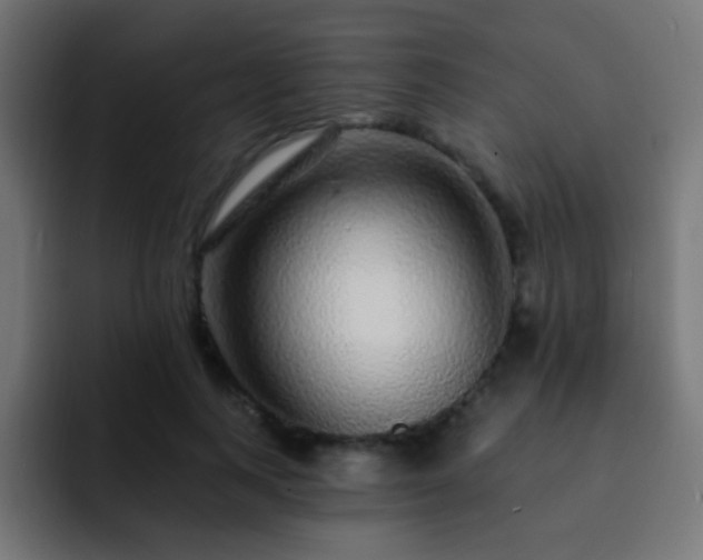 X0000093140743200710031409