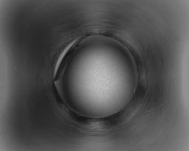 X0000093140746200710031409