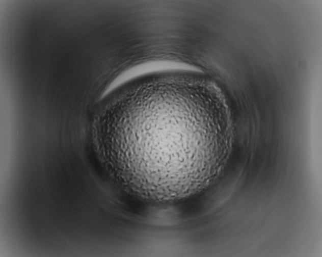 X0000093140747200710031409