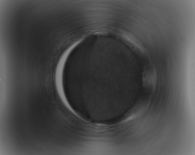 X0000093140748200710031409