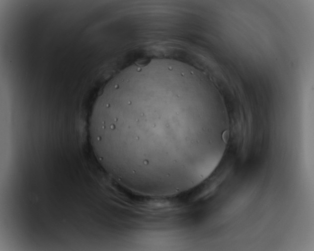 X0000093140749200710031409